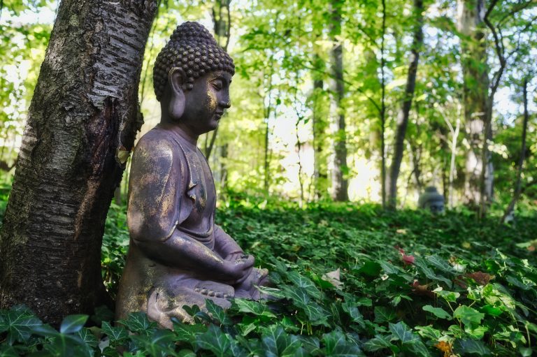 Read more about the article 在中陰身看到佛菩薩時，如何確定是真的而不是幻覺？有可能看到幻覺的佛菩薩嗎？