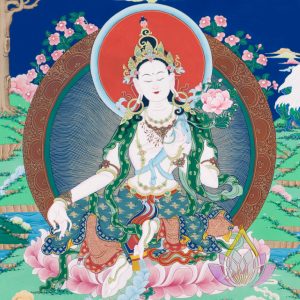 寶生百法之水月觀自在彩唐