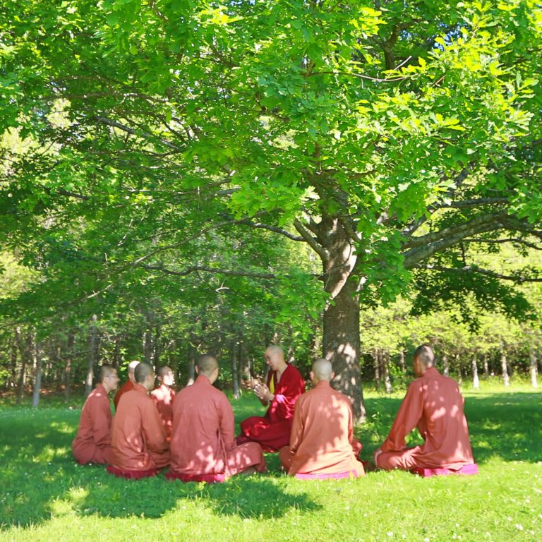 Read more about the article 大慈恩譯經基金會2025年度總結