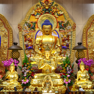 佛經故事001　棄捨狗身，立不退轉